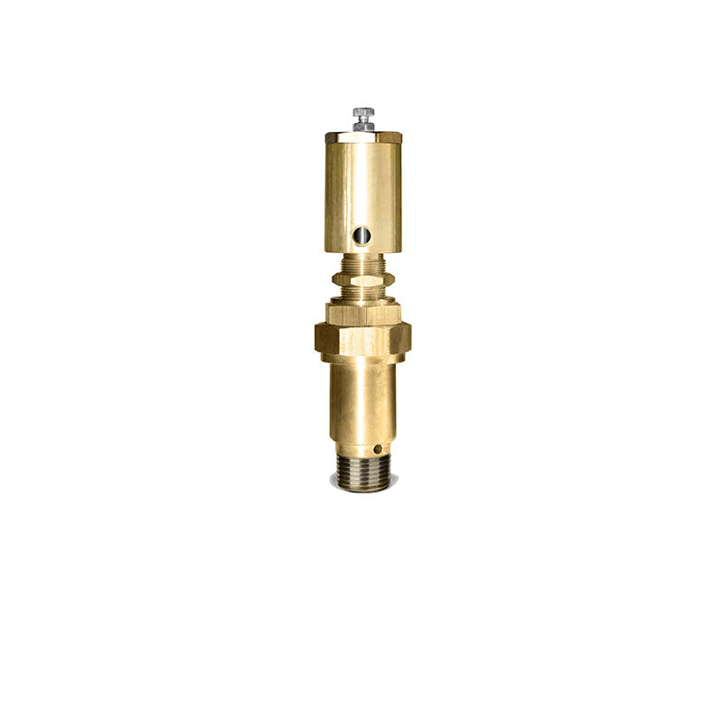 Buck Valve Pneumatic VC126