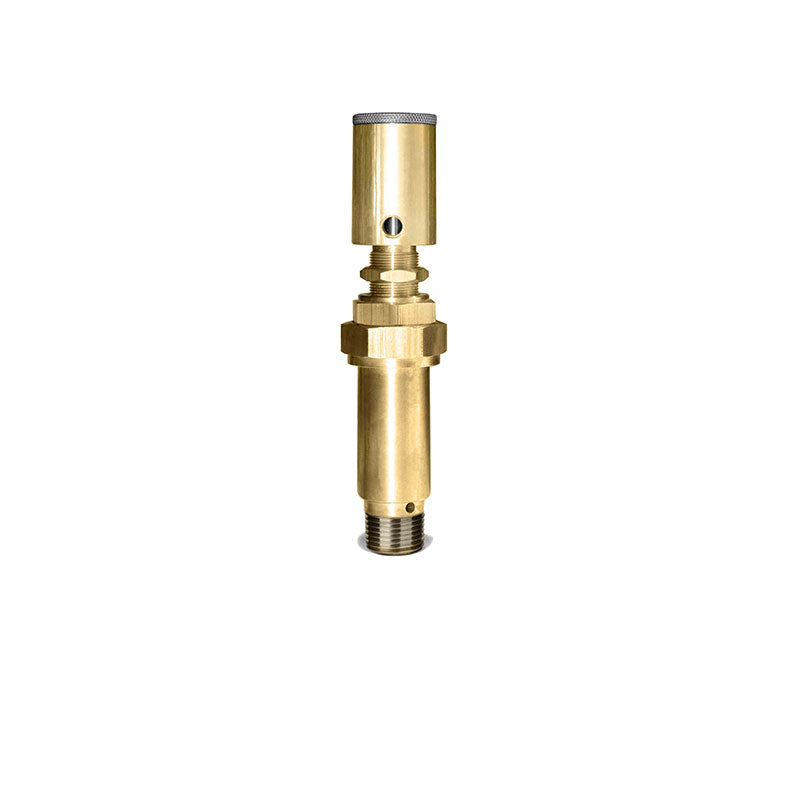 Buck Valve Pneumatic- VC132