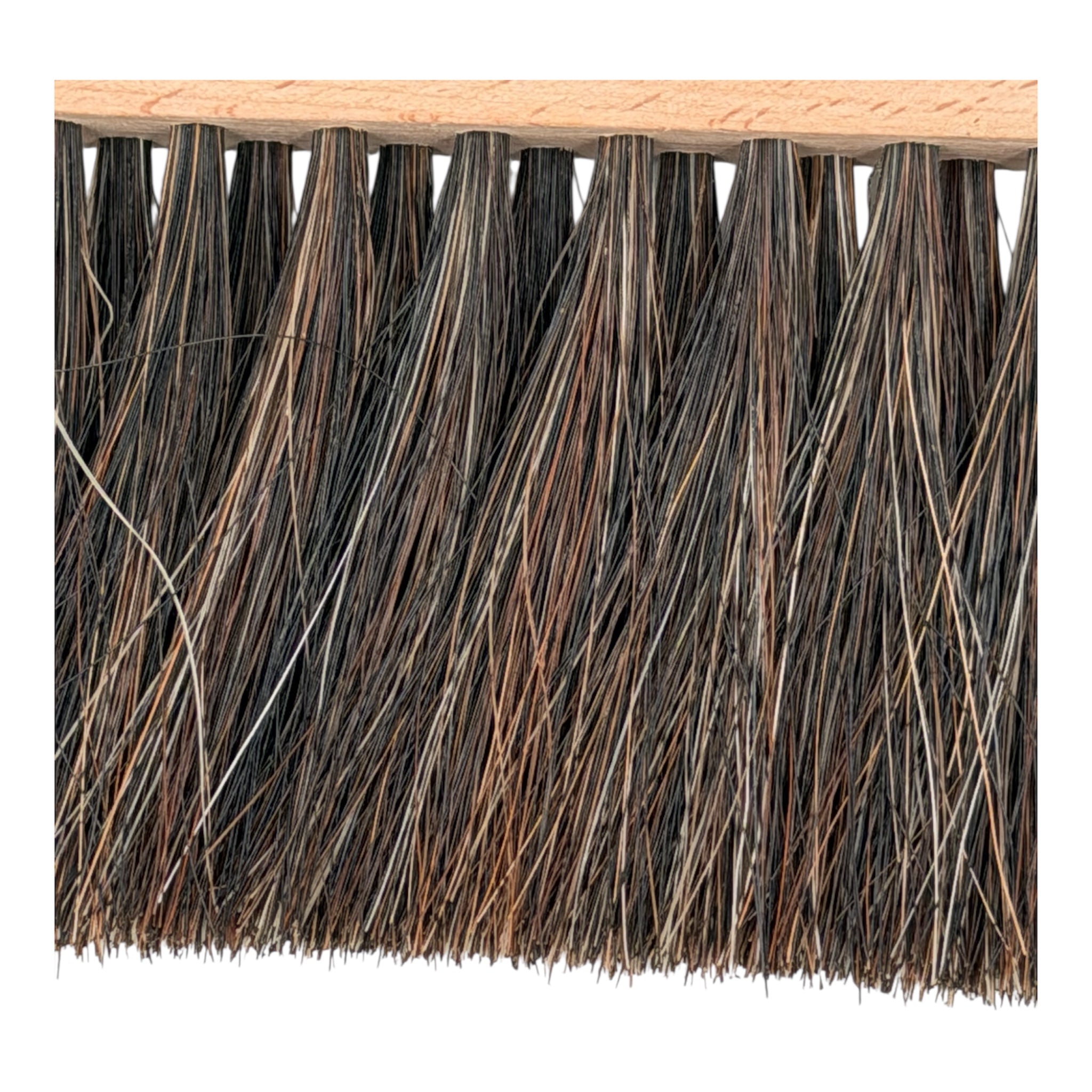 Close-up of horse hair bristle brush 