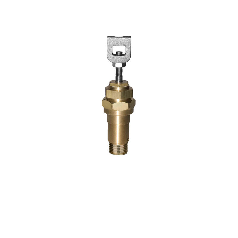 Buck Valve Short - V125