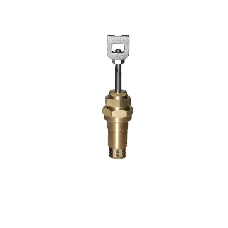 Buck Valve for Forenta press 